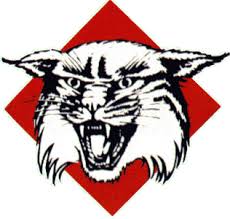 Davidson Wildcats Basketball